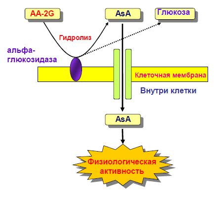 http://forum.my-formula.ru/extensions/hcs_image_uploader/uploads/0/0/391/thumb/p179st4trc3q7nur1tt92gvurd4.jpg