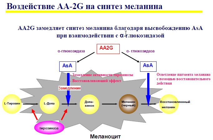 http://forum.my-formula.ru/extensions/hcs_image_uploader/uploads/0/0/391/thumb/p179st9a531fqjlu61ab0gl31acg1.JPG